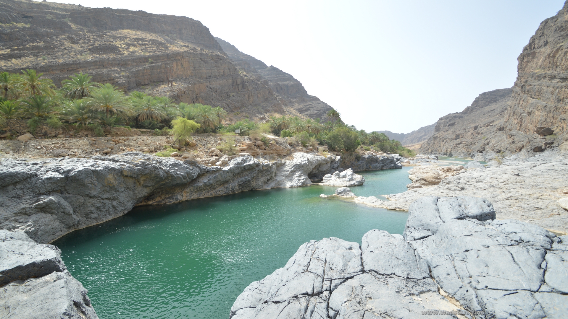 Wadi Al Arbeieen Tour from sur Oman Tours with cheap price Oman wadi Tours 60