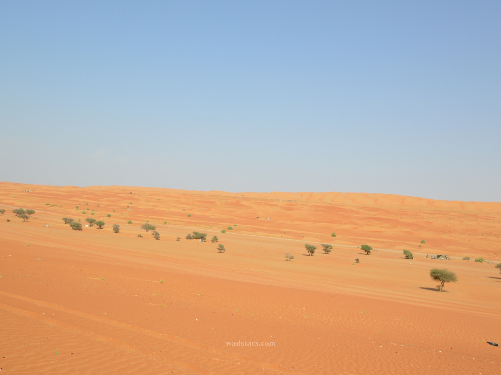 Sharqiyah Sands Wahiba Sands desert Oman Tours and camps 16