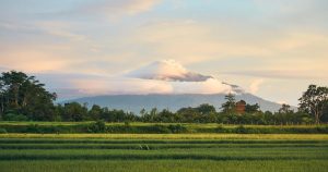 Best of Indonesia 10 Days Tour