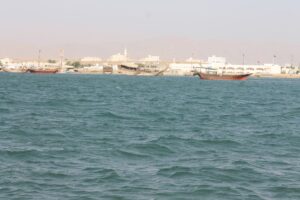 Oman Tours Book Your Tour Around Oman with Expert Local Guides and Personalized Experiences 371