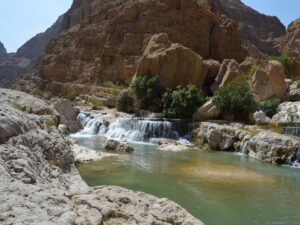 Wadi Shab Tour from Sur Best 1 Day Adventure in Oman (3)