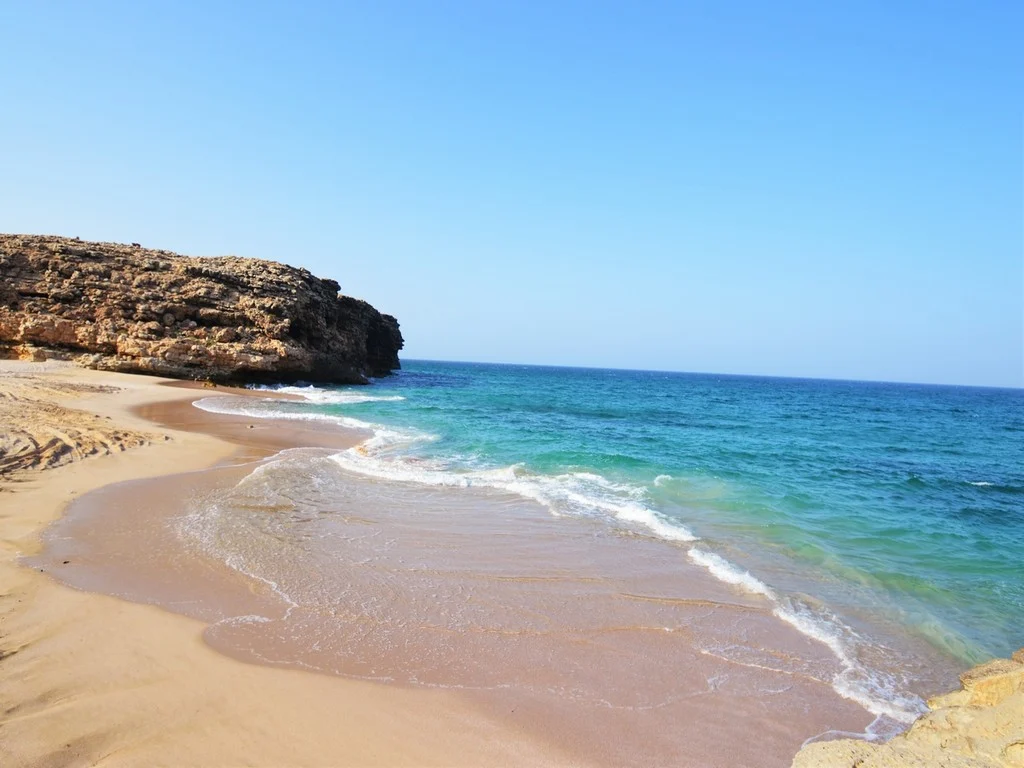 Ras Al Jinz Turtle Reserve Tour from Sur photo 4