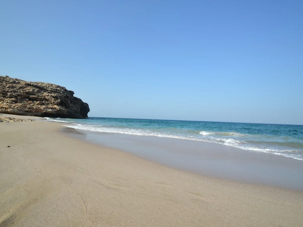 Ras Al Jinz Turtle Reserve Tour from Sur photo 5
