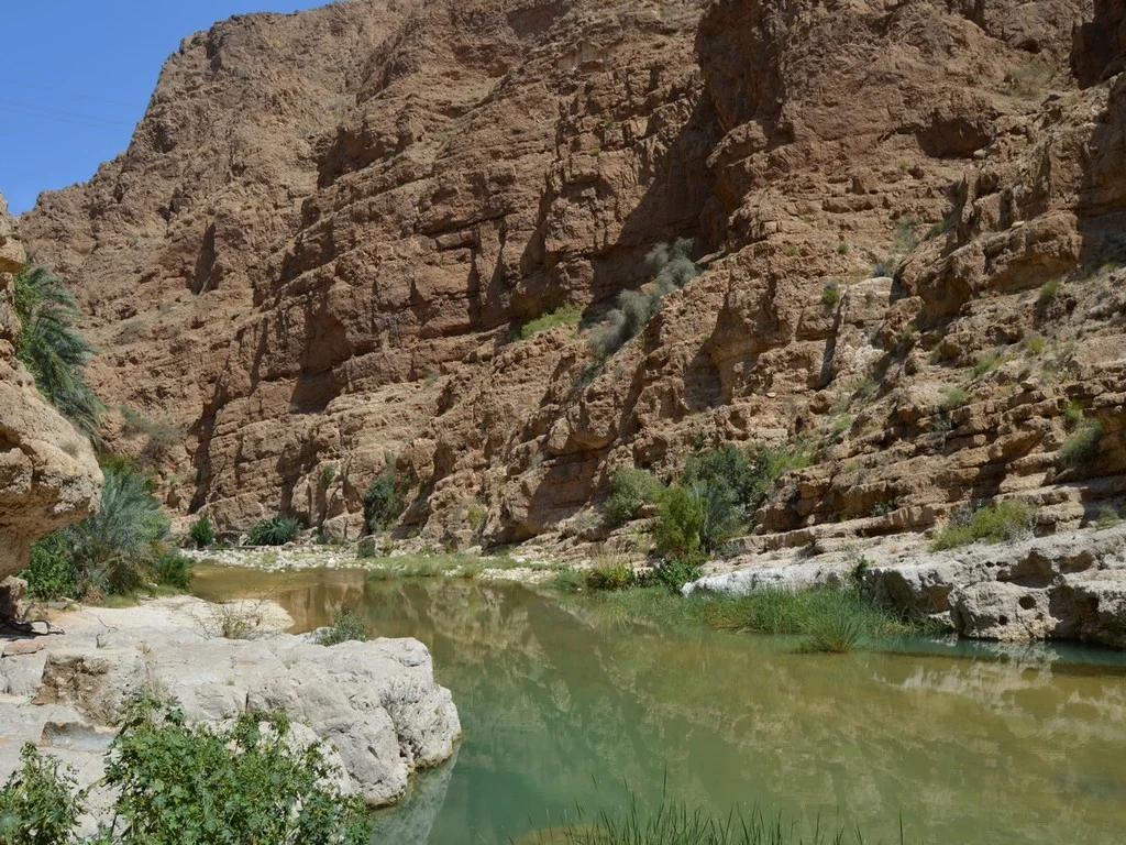 Wadi Shab Tour from Sur photo 3